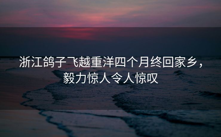 浙江鸽子飞越重洋四个月终回家乡，毅力惊人令人惊叹