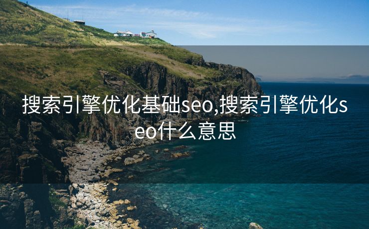 搜索引擎优化基础seo,搜索引擎优化seo什么意思