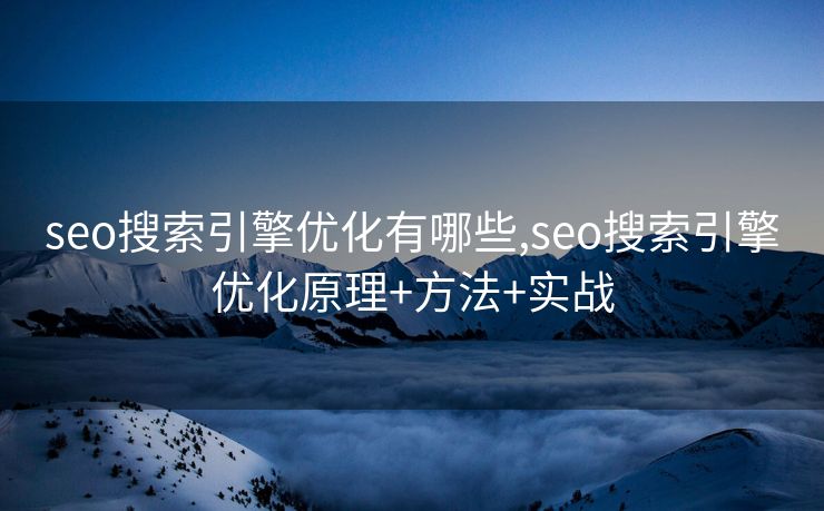 seo搜索引擎优化有哪些,seo搜索引擎优化原理+方法+实战