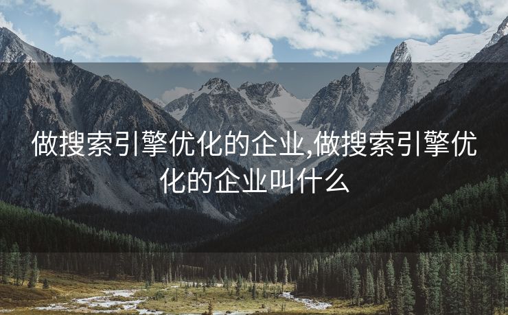做搜索引擎优化的企业,做搜索引擎优化的企业叫什么