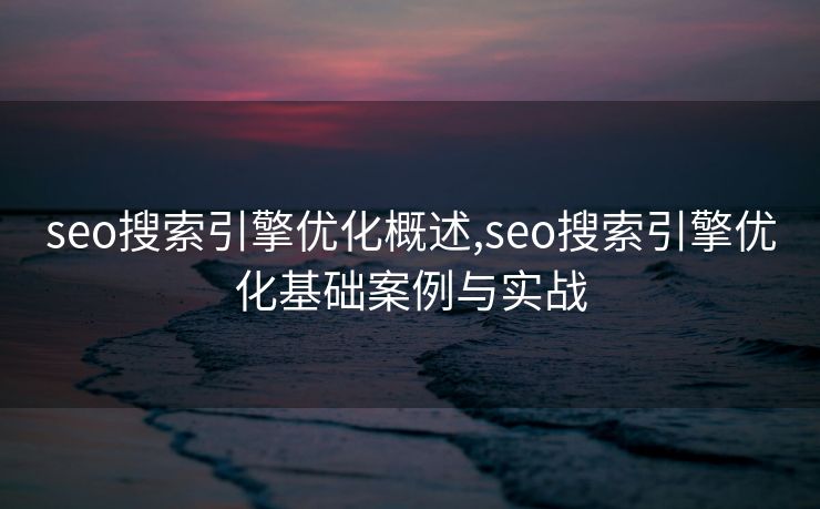 seo搜索引擎优化概述,seo搜索引擎优化基础案例与实战