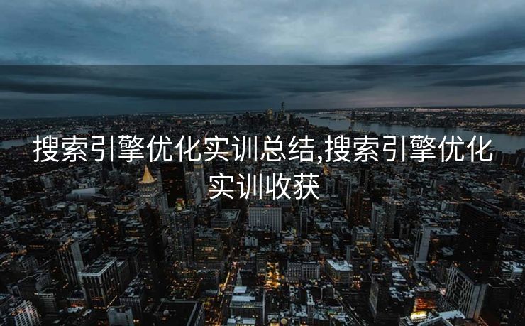 搜索引擎优化实训总结,搜索引擎优化实训收获