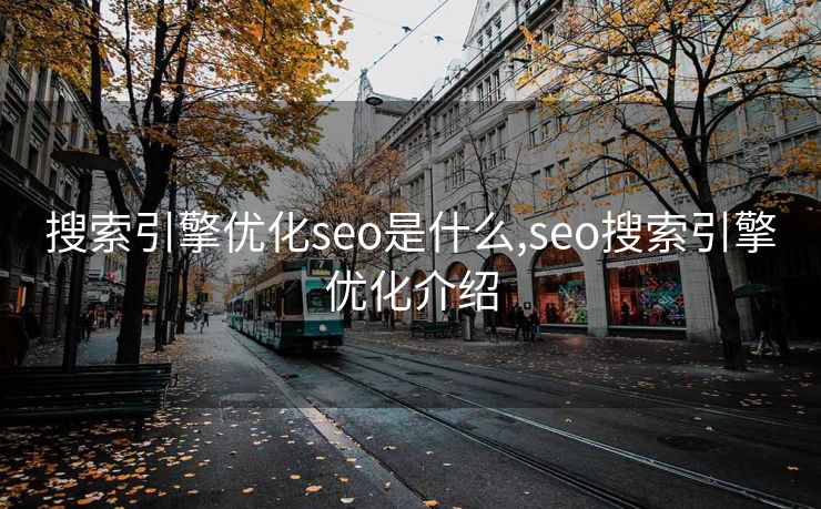 搜索引擎优化seo是什么,seo搜索引擎优化介绍