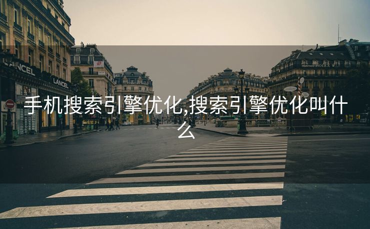 手机搜索引擎优化,搜索引擎优化叫什么
