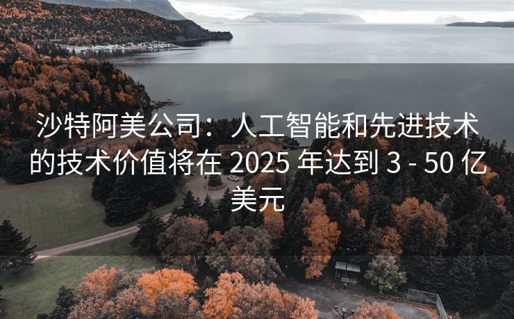 沙特阿美公司：人工智能和先进技术的技术价值将在 2025 年达到 3 - 50 亿美元