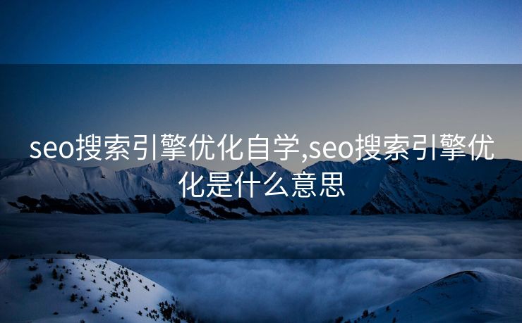 seo搜索引擎优化自学,seo搜索引擎优化是什么意思