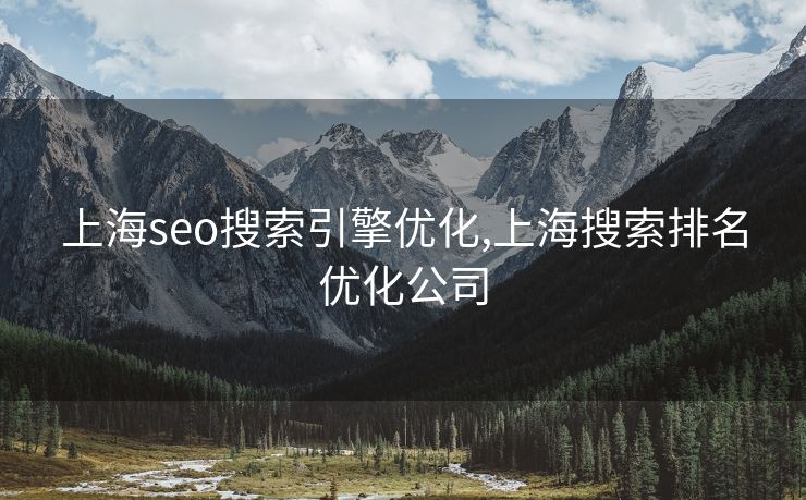 上海seo搜索引擎优化,上海搜索排名优化公司