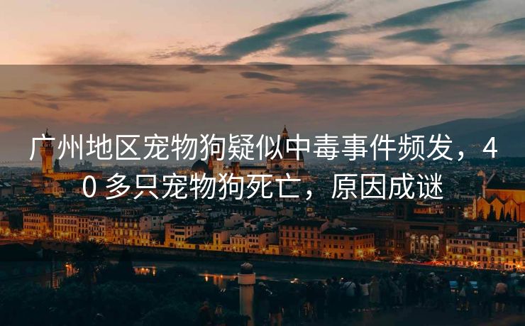 广州地区宠物狗疑似中毒事件频发，40 多只宠物狗死亡，原因成谜