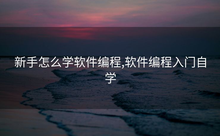 新手怎么学软件编程,软件编程入门自学
