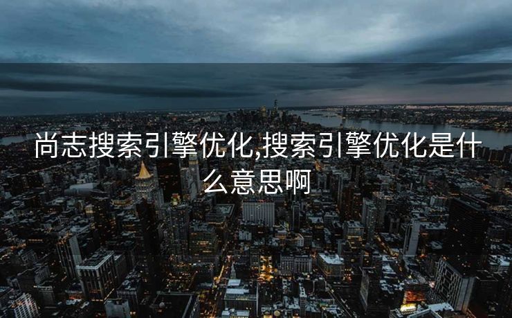 尚志搜索引擎优化,搜索引擎优化是什么意思啊