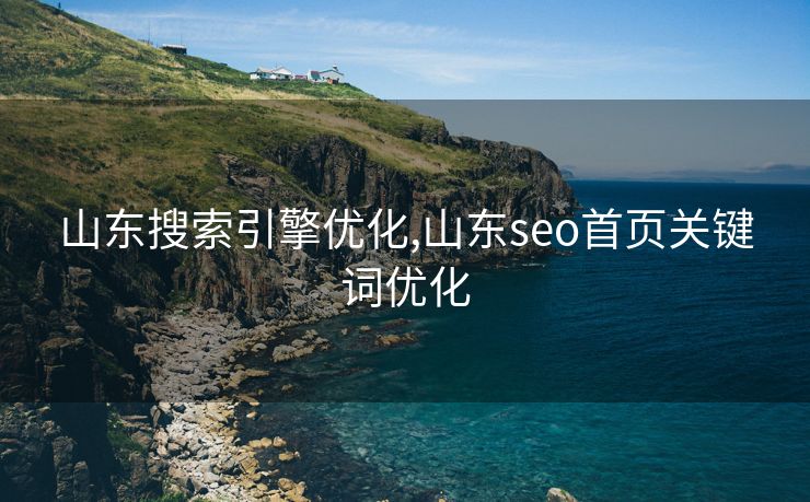 山东搜索引擎优化,山东seo首页关键词优化