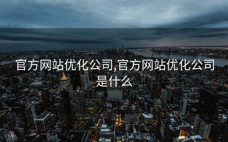 官方网站优化公司,官方网站优化公司是什么
