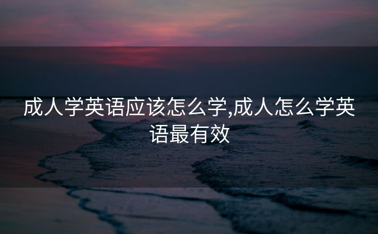 成人学英语应该怎么学,成人怎么学英语最有效