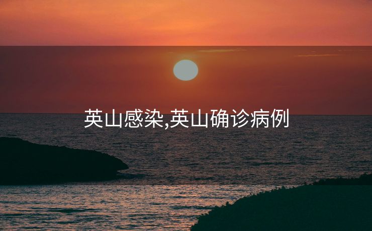 英山感染,英山确诊病例