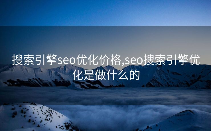 搜索引擎seo优化价格,seo搜索引擎优化是做什么的