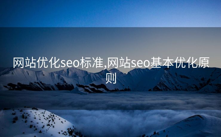 网站优化seo标准,网站seo基本优化原则
