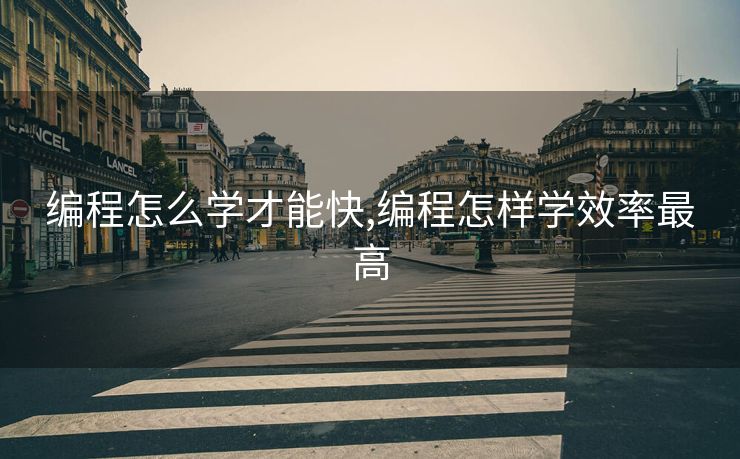 编程怎么学才能快,编程怎样学效率最高