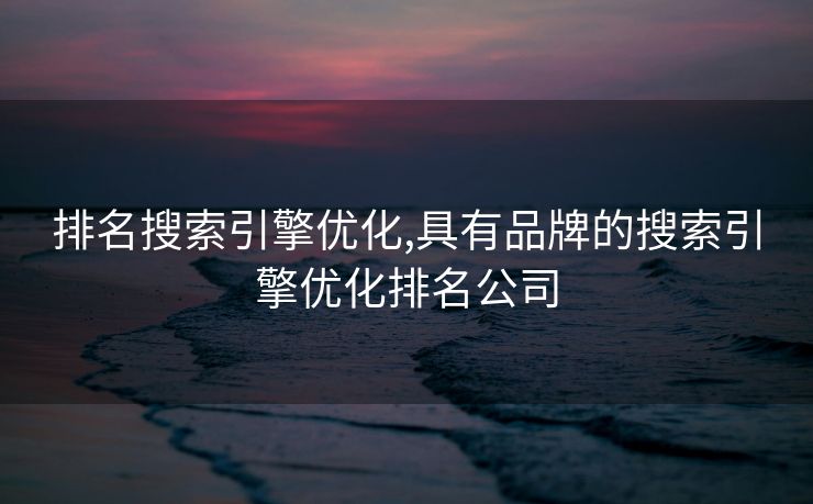 排名搜索引擎优化,具有品牌的搜索引擎优化排名公司