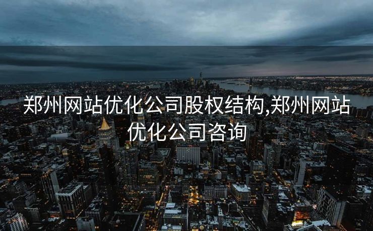 郑州网站优化公司股权结构,郑州网站优化公司咨询
