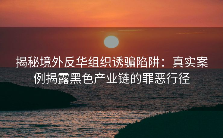 揭秘境外反华组织诱骗陷阱：真实案例揭露黑色产业链的罪恶行径