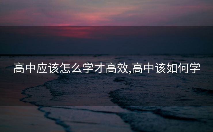 高中应该怎么学才高效,高中该如何学