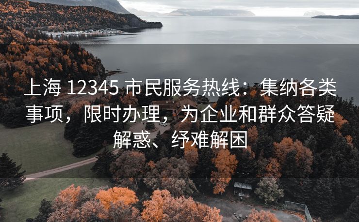 上海 12345 市民服务热线：集纳各类事项，限时办理，为企业和群众答疑解惑、纾难解困