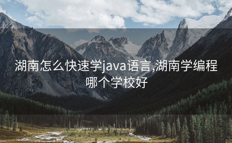 湖南怎么快速学java语言,湖南学编程哪个学校好
