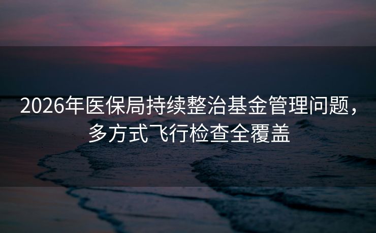 2026年医保局持续整治基金管理问题，多方式飞行检查全覆盖