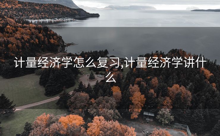 计量经济学怎么复习,计量经济学讲什么