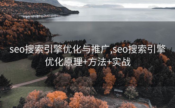 seo搜索引擎优化与推广,seo搜索引擎优化原理+方法+实战