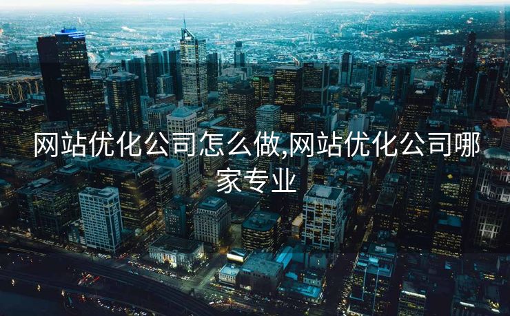 网站优化公司怎么做,网站优化公司哪家专业