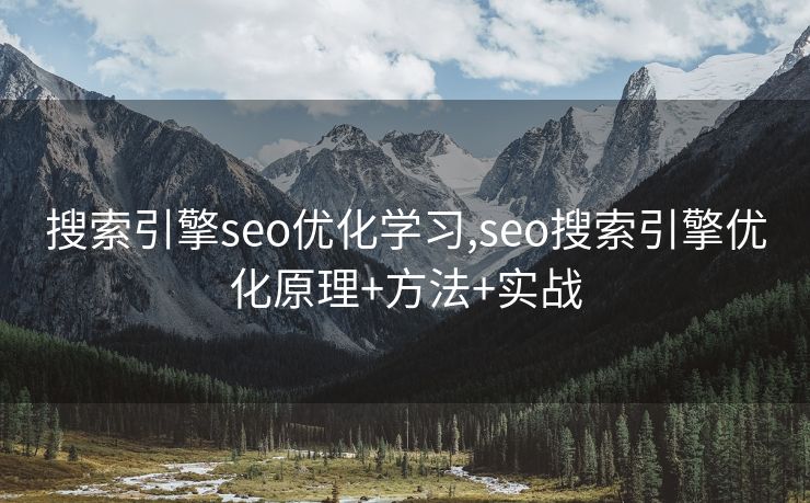 搜索引擎seo优化学习,seo搜索引擎优化原理+方法+实战