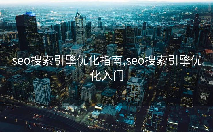 seo搜索引擎优化指南,seo搜索引擎优化入门
