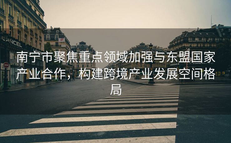 南宁市聚焦重点领域加强与东盟国家产业合作，构建跨境产业发展空间格局
