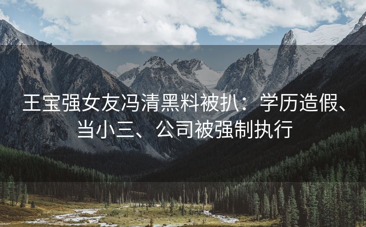 王宝强女友冯清黑料被扒：学历造假、当小三、公司被强制执行