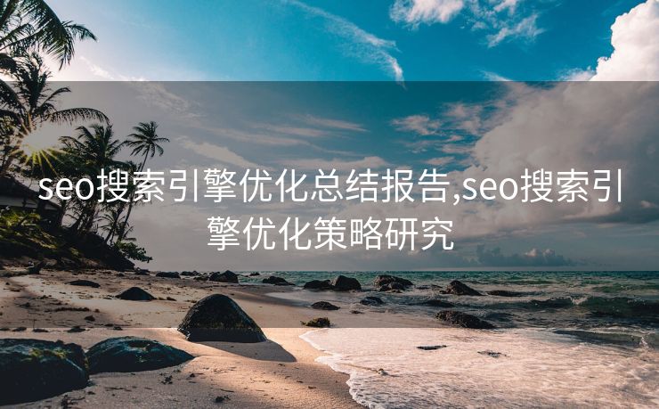 seo搜索引擎优化总结报告,seo搜索引擎优化策略研究