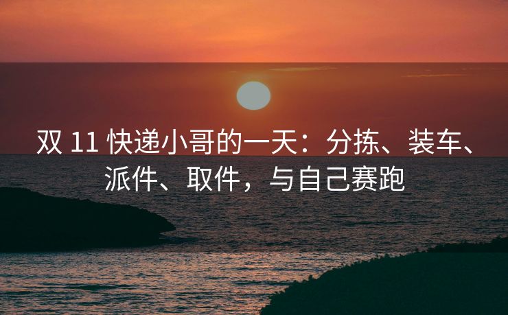 双 11 快递小哥的一天：分拣、装车、派件、取件，与自己赛跑