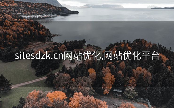 sitesdzk.cn网站优化,网站优化平台