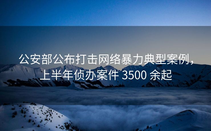 公安部公布打击网络暴力典型案例，上半年侦办案件 3500 余起