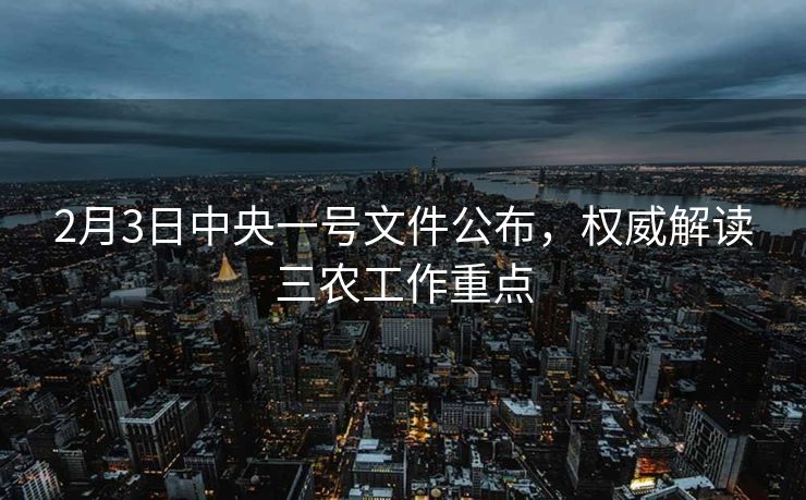 2月3日中央一号文件公布，权威解读三农工作重点