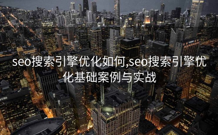 seo搜索引擎优化如何,seo搜索引擎优化基础案例与实战