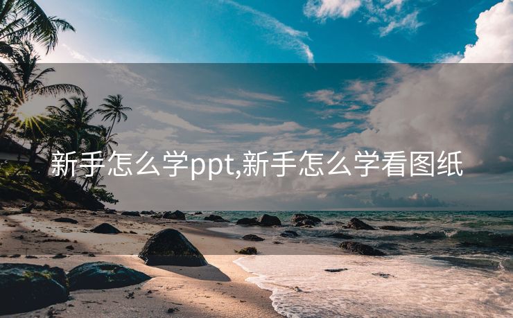 新手怎么学ppt,新手怎么学看图纸