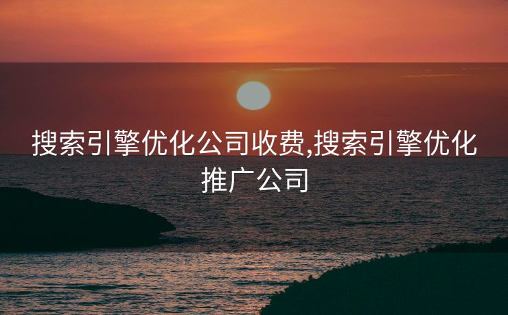 搜索引擎优化公司收费,搜索引擎优化推广公司