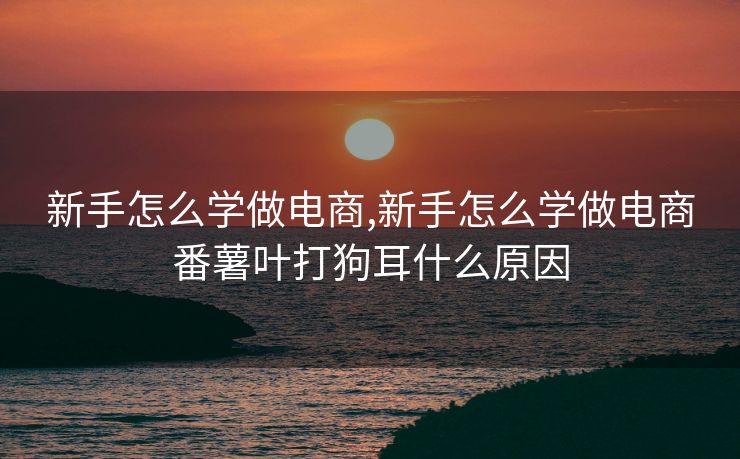 新手怎么学做电商,新手怎么学做电商番薯叶打狗耳什么原因