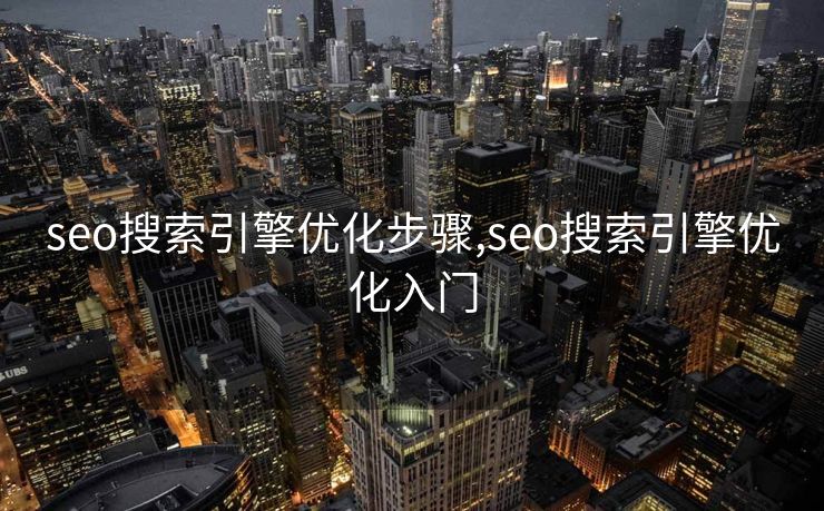 seo搜索引擎优化步骤,seo搜索引擎优化入门