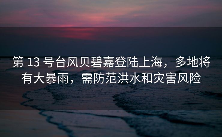 第 13 号台风贝碧嘉登陆上海，多地将有大暴雨，需防范洪水和灾害风险