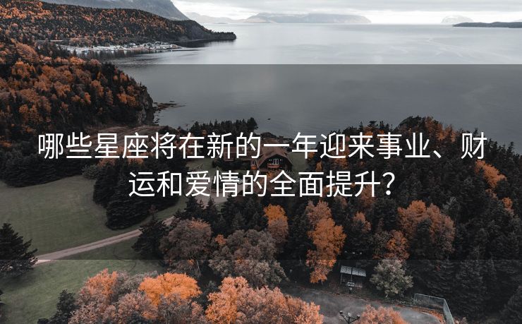 哪些星座将在新的一年迎来事业、财运和爱情的全面提升？