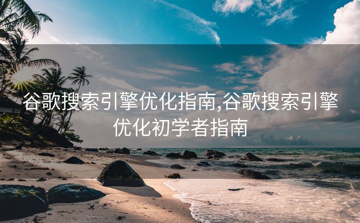 谷歌搜索引擎优化指南,谷歌搜索引擎优化初学者指南