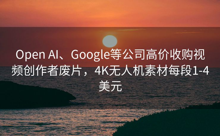Open AI、Google等公司高价收购视频创作者废片，4K无人机素材每段1-4美元