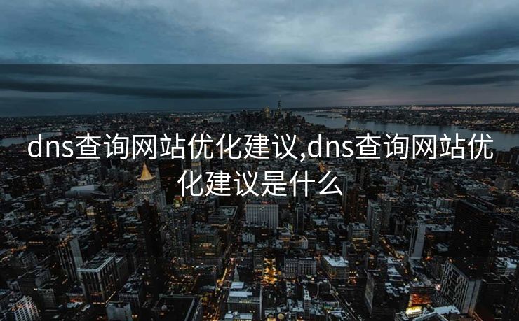 dns查询网站优化建议,dns查询网站优化建议是什么